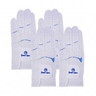 데니스 골프장갑 남성용 양피 4장세트 GF