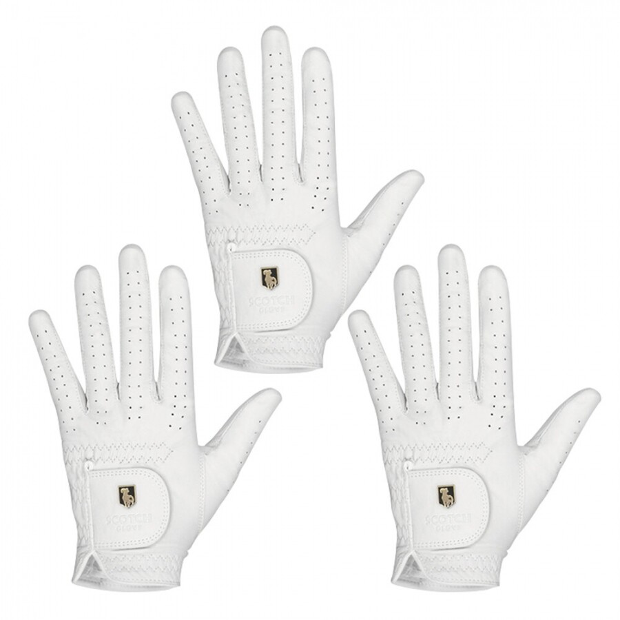 [범양글러브정품]스카치 천연양피 골프장갑 남성용 왼손 3장 세트 GF