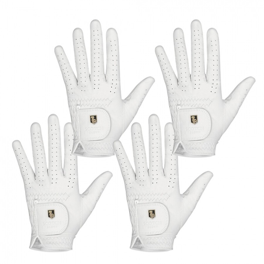 [범양글러브정품]스카치 천연양피 골프장갑 여성용 양손 4장 세트 GF