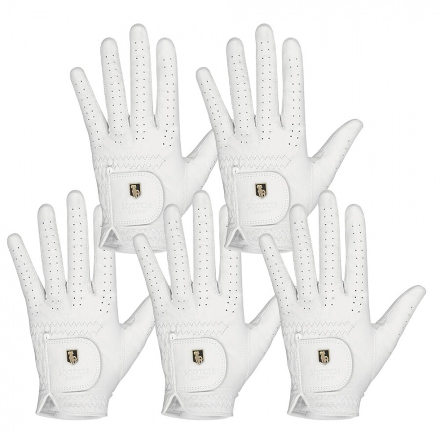 [범양글러브정품]스카치 천연양피 골프장갑 여성용 양손 5장 세트 GF