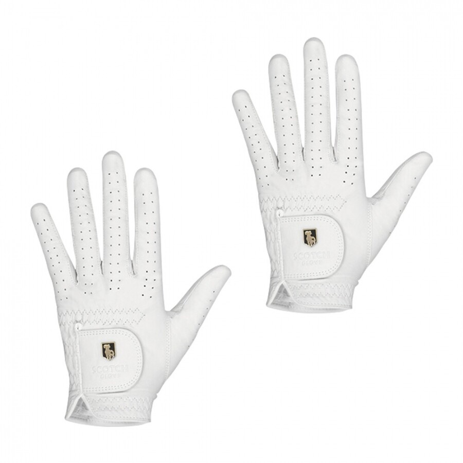 [범양글러브정품]스카치 천연양피 골프장갑 여성용 양손 2장 세트 GF