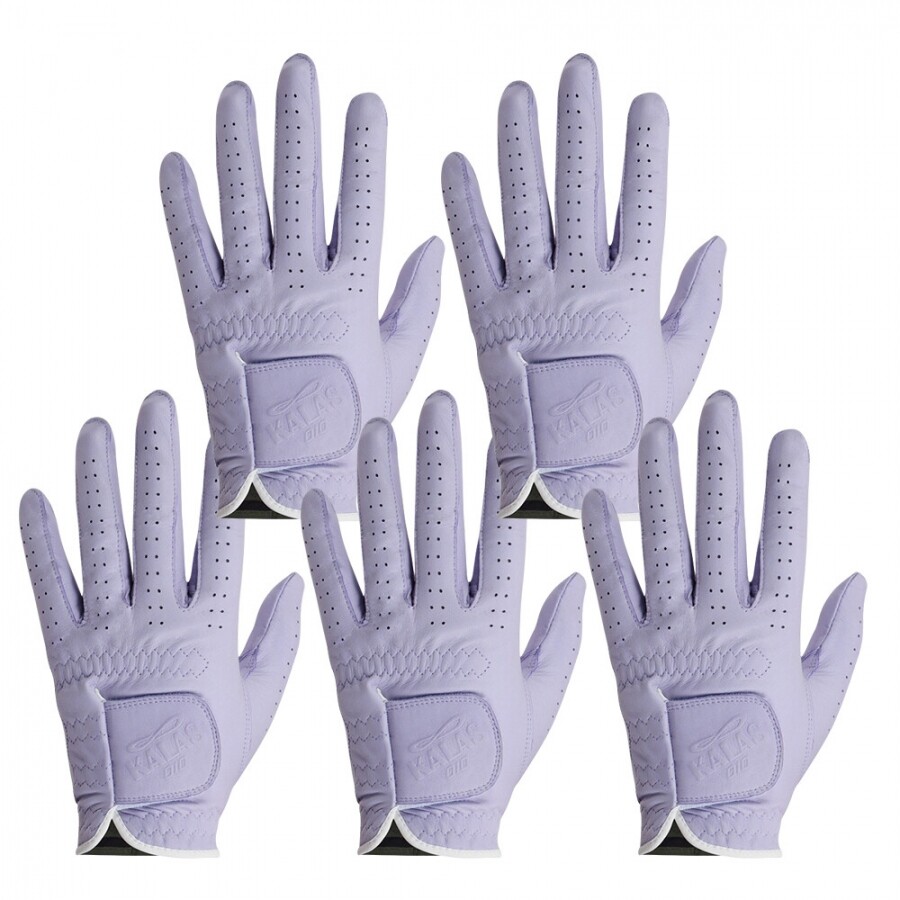 [범양글러브정품]오아이오 칼라스 골프장갑 여성용 왼손 5장 세트 GF